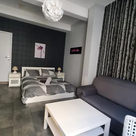 Apartment Republique Centre